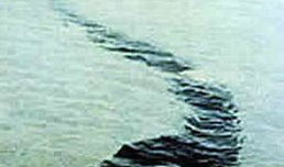 水怪视频,视频揭秘神秘生物之谜